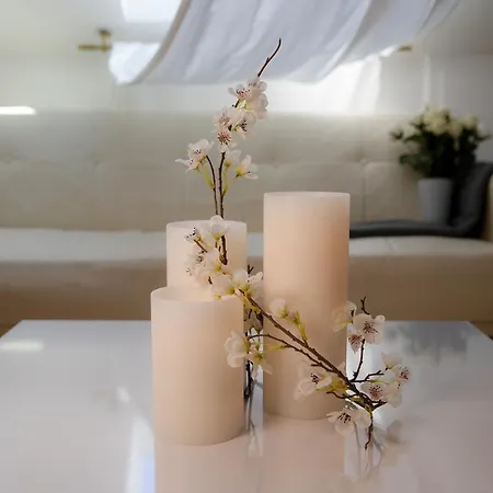 Apartment Luxus Penthouse Whiterussian